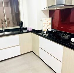 Parc Vista (D22), Condominium #590860731